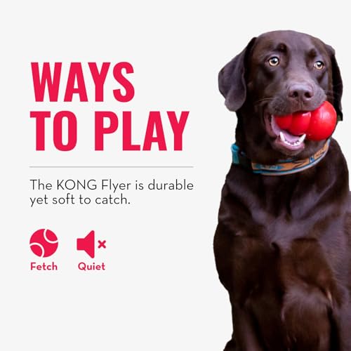 KONG Flyer - Durable Dog Toy for Outdoor Playtime - Natural Rubber Flying Disc, Dog Toy for Fetch - Safer Disc for Healthy Activity - for Medium/Large Dogs - size: Large (Pack of 1)