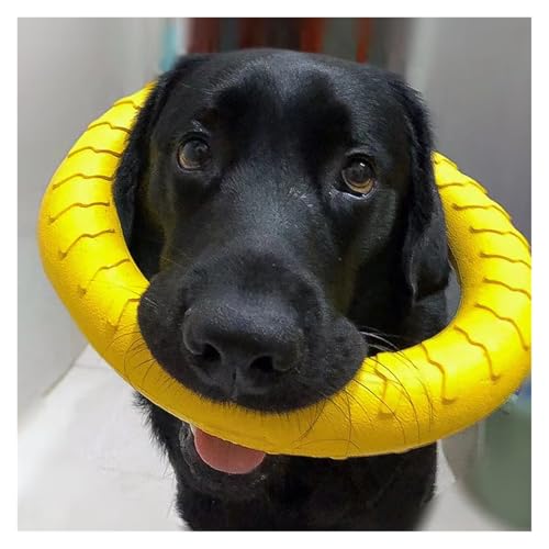 A Pcs Dog Ring Thing Sturdy Chewing Flying Floating Training Tools Fetch Small Medium Large Dogs Throwing Catching Flying(Orange) - color: Orange
