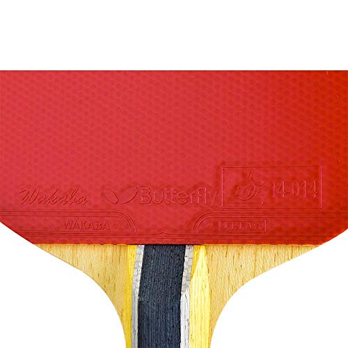 Butterfly B603FL Ping Pong Paddle Set | 1 Table Tennis Racket | 1 Ping Pong Paddle Case| Tournament Butterfly Ping Pong Paddles | High Speed & Spin Table Tennis Set, Multi