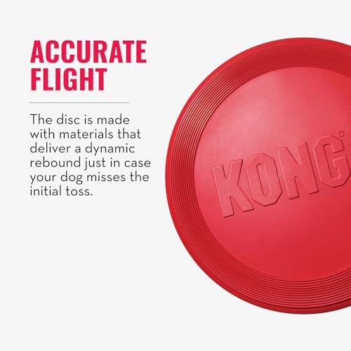 KONG Flyer - Durable Dog Toy for Outdoor Playtime - Natural Rubber Flying Disc, Dog Toy for Fetch - Safer Disc for Healthy Activity - for Small Dogs - size: Small (Pack of 1)