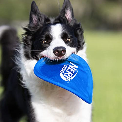 Nerf Dog Nylon Flyer Dog Toy, Flying Disc, Lightweight, Durable and Water Resistant, Great for Beach and Pool, 9 inch diameter, for Medium/Large Breeds, Single Unit, Blue - color: Blue - 1 Pack