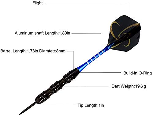WINSDART Darts Metal Tip Set Professional Metal Darts for Dartboard Steel Tip Darts with Nonslip Iron Barrel Aluminum Dart Shafts,Extra Flights,Dart Sharpener,Gift Box - style: Skull Laser Darts Set