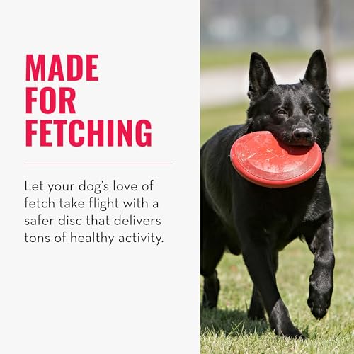 KONG Flyer - Durable Dog Toy for Outdoor Playtime - Natural Rubber Flying Disc, Dog Toy for Fetch - Safer Disc for Healthy Activity - for Small Dogs (Pack of 2) - size: Small(2-Pack)