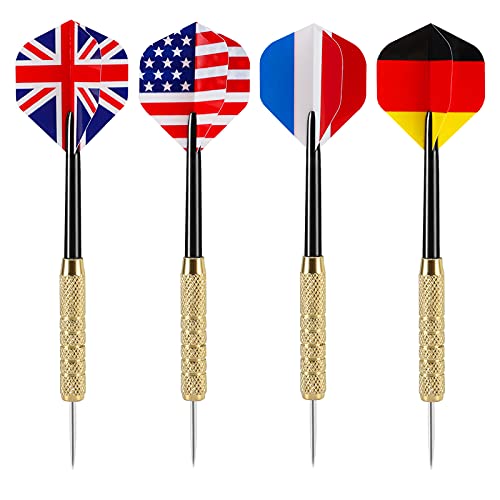 Accmor 12pcs Steel Tip Darts Set, 18 Grams Professional Metal Darts, Metal Tip Darts with 4 Extra Nylon Shafts, 4 Extra Flights in Four Different Patterns