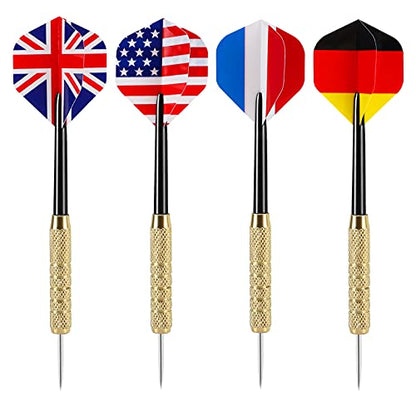 Accmor 12pcs Steel Tip Darts Set, 18 Grams Professional Metal Darts, Metal Tip Darts with 4 Extra Nylon Shafts, 4 Extra Flights in Four Different Patterns