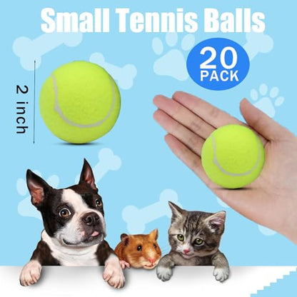 Swingers Small Tennis Balls，20 Pack 2 inch Training Tennis Balls,Exercise Ball for Pet Dog with Mesh Carry Bag Easy to Transport