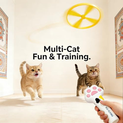 10Pcs Cat Toy Flying Discs, Interactive Cat Fetch Toy for Indoor Cats, Chasing Hunting Training Toys for Kittens & Adult Cats（10Pcs） - color: 10 PCS Disc