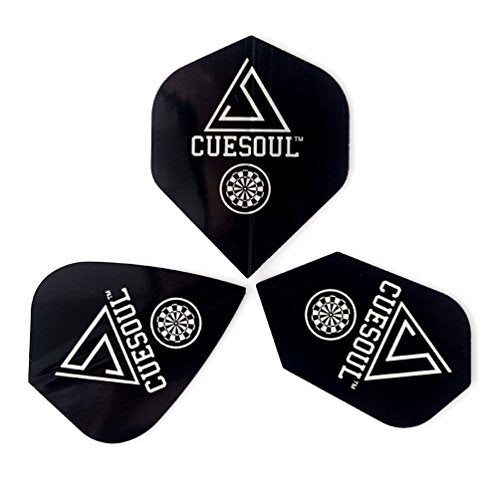 CUESOUL Tungsten Steel Tip Darts- Precise Barrels 18 19 21 24 Grams - color: 19 Grams-Luxury Case