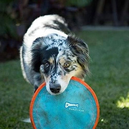 Chuckit! Kick Fetch Ball Dog Toy, Small (6 Inch) and ChuckIt! Paraflight Flying Disc Dog Toy, Large (9.75")