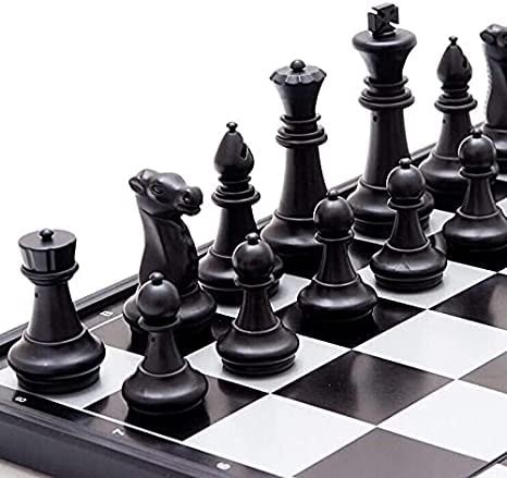 Magnetic Travel Chess Set 10 Inches with Folding Chess Board Educational Toys for Kids and Adults - size: 10"