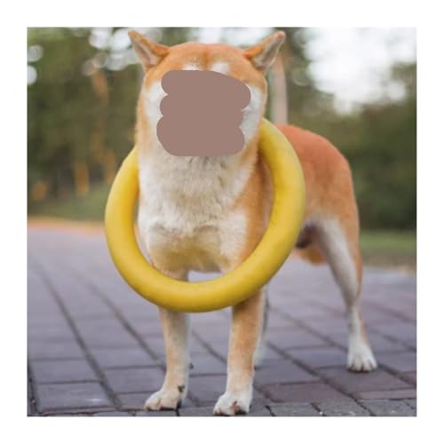 Durable Dog Ring Toy, Floating Flying for Training & Fetch(Green) - color: Green