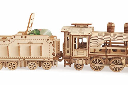 3D Wooden Puzzle - DIY Mechanical Steam Train Model Kits - Wood Crafts Vehicle Building Model - Wooden STEM Brain Teaser Puzzle - Steam Train Christmas Birthday Gifts for Adults & Teens - style: Steam Train