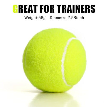30/40 Pack Training Tennis Balls, Pet Dog Playing Balls, Practice Tennis Balls with Mesh Bag for Transport and Beginner Training - color: Colorful-40Pack