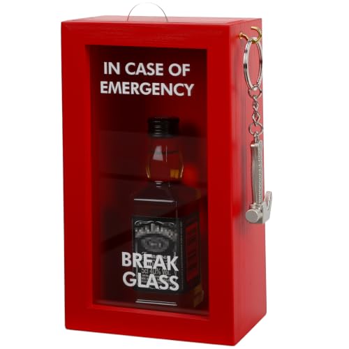 Funny Gift Emergency Box w/Hammer(Medium), Break in Case of Emergency Box, Personalized Prank Gag Gift for Birthday Holiday, Funny Desk Decor, White Elephant Gift for Friend Coworker Family - style: Medium Emergency Box