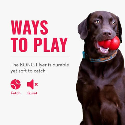 KONG Flyer - Durable Dog Toy for Outdoor Playtime - Natural Rubber Flying Disc, Dog Toy for Fetch - Safer Disc for Healthy Activity - for Small Dogs (Pack of 2) - size: Small(2-Pack)
