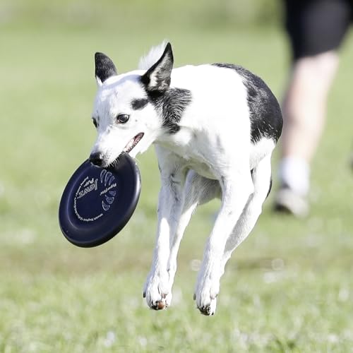 Hyperflite Pup Jawz Puncture Resistant Dog Flying Disc, Small Dogs | Puncture Resistant, Competition Approved | 7-inch, 90g | Small Dogs | Black - color: Black