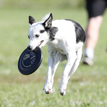 Hyperflite Pup Jawz Puncture Resistant Dog Flying Disc, Small Dogs | Puncture Resistant, Competition Approved | 7-inch, 90g | Small Dogs | Black - color: Black