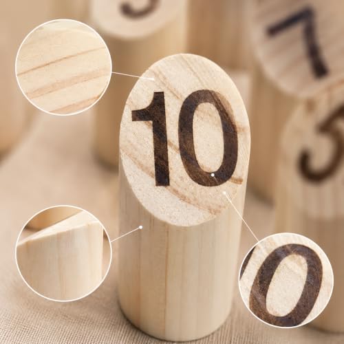 Modern Wooden Outdoor Games Set, Family with Scoreboard, Portable Camping Games for Adults