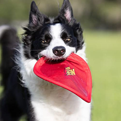 Nerf Dog Nylon Flyer Dog Toy, Flying Disc, Lightweight, Durable and Water Resistant, Great for Beach and Pool, 9 inch diameter, for Medium/Large Breeds, Single Unit, Red - color: Red - 1 Pack