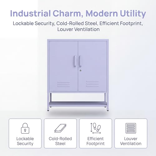 Lockable Metal Shoe Cabinet,Heavy Duty Storage Cabinet with 1 Adjustable Shelves,Purple Metal Storage Cabinet for Home,Entrance,Living Room,Bathroom 33" H X 29.5" W X 13.8" D - color: Purple, style: 33 “H-Cabinet-XG