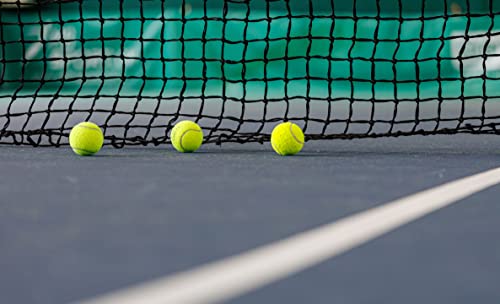Tennis net PRO 3mm Tournament, Double mesh from top to Bottom - for Indoor and Outdoor use
