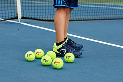 Penn Championship Tennis Balls - Extra Duty - style: 4 Cans, 12 Balls