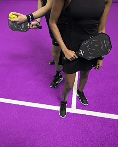 STIGA Aviox Pickleball Paddle | Midweight Paddle - USAPA Approved - Designed in Sweden - color: Silver, style: Aviox Carbon Nomex Pro