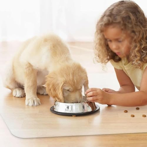 Low Pile Carpet Protector/Rugs Protect Runners Cover,Gaming Computer Rolling Chair Tile Pad/Heavy Duty Vinyl Plank Flooring Mat - Plastic Clear(40cmX60cm/16 X24) - size: 2' x 1'4" (Bear)