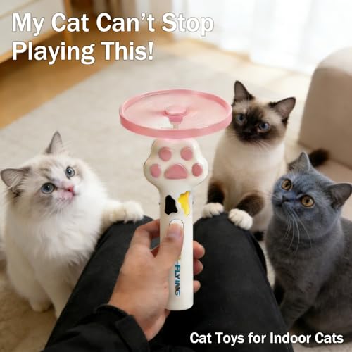 10Pcs Cat Toy Flying Discs, Interactive Cat Fetch Toy for Indoor Cats, Chasing Hunting Training Toys for Kittens & Adult Cats（10Pcs） - color: 10 PCS Disc