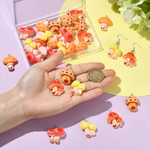 Stiesy 30Pcs Resin Mushroom Charms with Loops, 5 Styles Cute Charms Beads, Mixed Color Mushroom Shape DIY Pendant Ornament for Jewelry Making, DIY Necklace Bracelet Craft Supplies - color: Mushroom-5 Styles-30Pcs