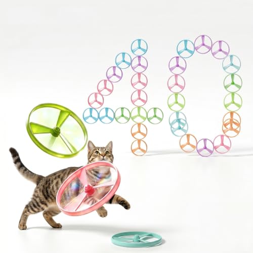 Cat Fetch Toy (40 PCS Disc) - color: 40 PCS Disc