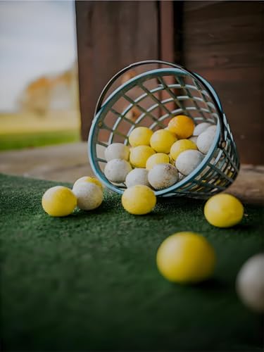 Golf Balls Basket Ball Bucket Golf Balls Container Case with Handle,Balls Holder, Can Holds 25 Balls,Green Color