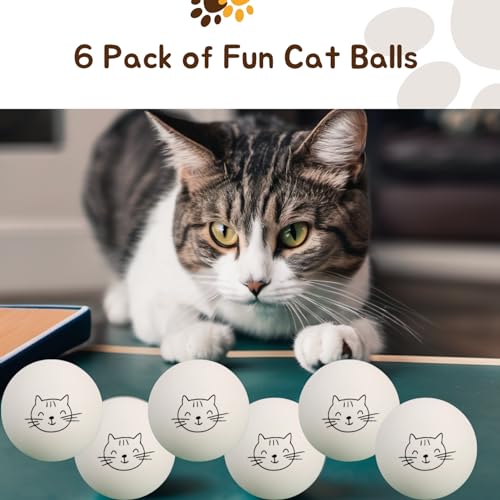 Cloverjoyed Ping Pong Balls for Cats, 6 Pack, Enrichment Toys, Cat Lovers Gift Ideas, Ball Pits, Bouncy