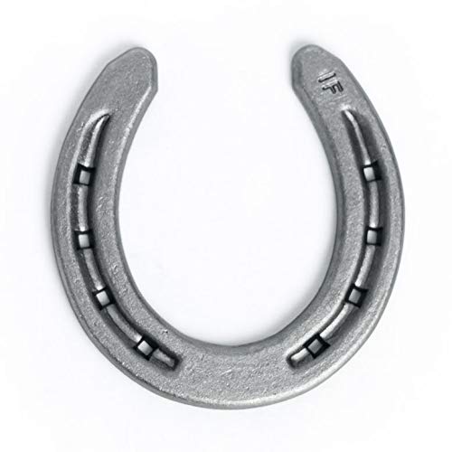 Steel Horseshoes Set for Horses, Crafts, Decorations and Backyard Games - Size 000 - R1-F - Sand Blasted 2 Shoes - size: Size 000 R1-F X-Small - 2 Shoes