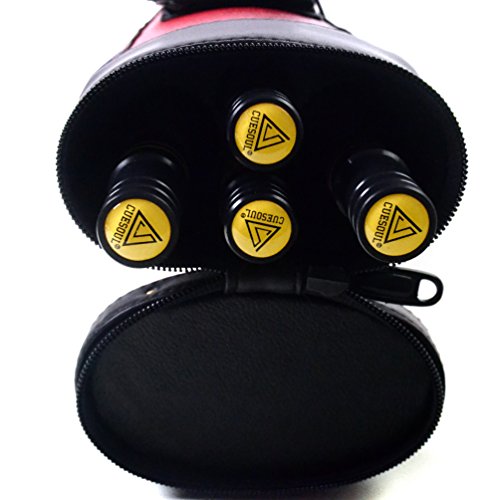 CUESOUL 19oz Pool Cue Sticks with Hard Pool Cue Case - color: E201-E105