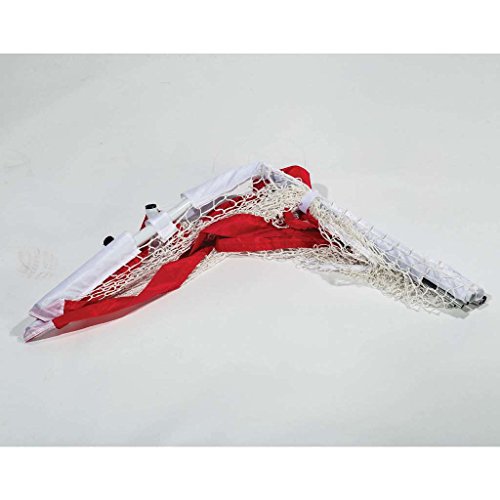 Franklin Sports FiberTech Street Hockey Goal Set