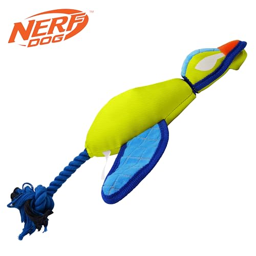 Nerf Dog 16.5in Nylon Ultraplush Crinkle Wing Launching Duck Dog Toy - Green/Light Blue - color: Green / Blue