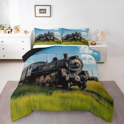 Erosebridal Train Comforter Sets Full Size Retro Steam Engine Bedding Set for Kids Boys Teens,Railway Track Transport Duvet Sets,Green Grass Blue Sky Down Comforter with 2 Pillow Cases - color: Pattern 02, size: Full