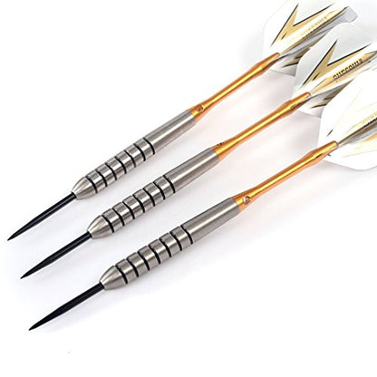 CUESOUL Tungsten Steel Tip Darts- Precise Barrels 18 19 21 24 Grams - color: 19 Grams-Luxury Case