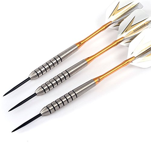 CUESOUL Tungsten Steel Tip Darts- Precise Barrels 18 19 21 24 Grams - color: 19 Grams-Luxury Case