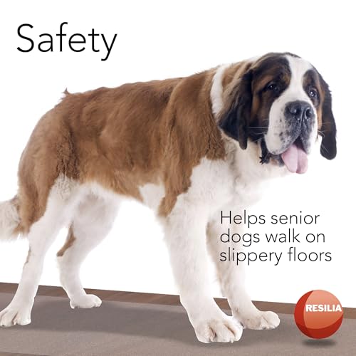 RESILIA Premium Clear Floor Protector Mat – Heavy-Duty Plastic Vinyl Covering for Hardwood, Tile, or Laminate Floors, Table, or Desk –American Modern Pattern 27" x 15" Waterproof Roll, Made in USA - size: 27" x 15"