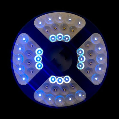 Disc Store Disc Golf Basket Light - Water-Resistant Disc Sports Golf Hole Lights with Stepless Dimming, White LED & Yellow Natural Lights, Up to 72-Hour Runtime
