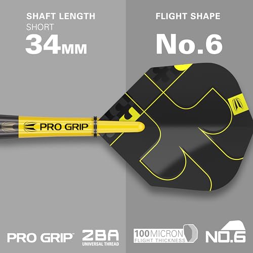 Target Darts Bolide Void 90% Tungsten Dart Set, Steel Tip Swiss Point Darts | 21G/22G/23G/24G/25G/25G | Professional Darts Sets, Black Darts, Swiss Point Tool Included - size: 25G, style: Barrel 01