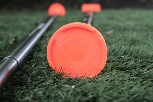 Beersbee® Polish Horseshoes Flying Disc Target Bottle Drop Adult Lawn Game- Camping, Backyard, Beach, Tailgating, Frat Party Games, Bottle Battle Bash