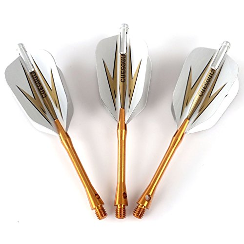 CUESOUL Tungsten Steel Tip Darts- Precise Barrels 18 19 21 24 Grams - color: 19 Grams-Luxury Case