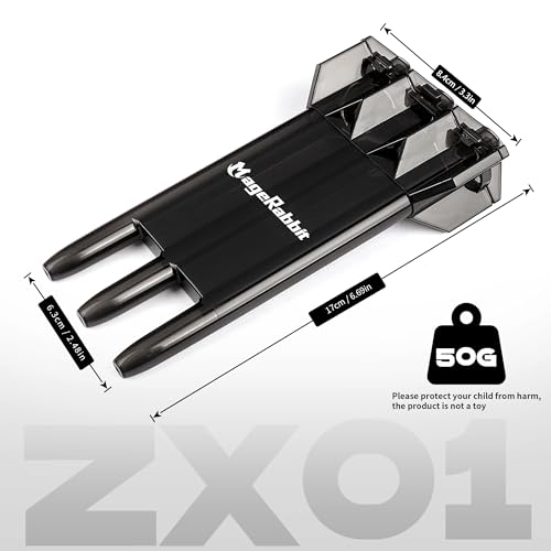 Dart Case, Hard Case, 3 Darts Capacity, 3 Compartments, Translucent Black, Sporty, 25 x 10 x 20 cm (Black) - color: Black