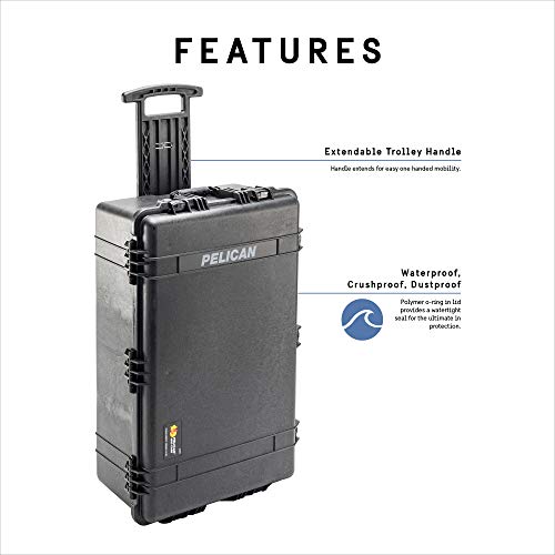 Pelican 1650 Case No Foam (Black) - color: Black, style: No Foam