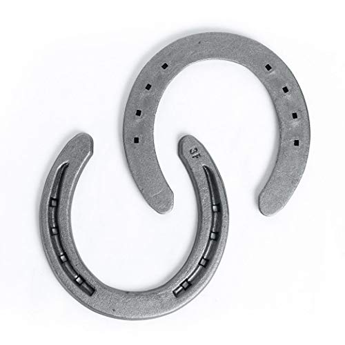 Steel Horseshoes Set for Horses, Crafts, Decorations and Backyard Games - Size 0 - R3-F - Sand Blasted 20 Shoes