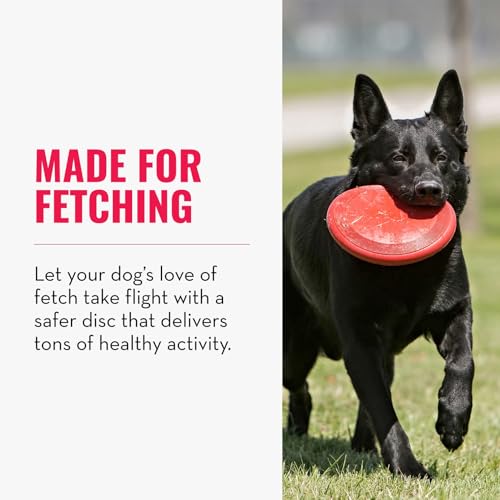 KONG Flyer - Durable Dog Toy for Outdoor Playtime - Natural Rubber Flying Disc, Dog Toy for Fetch - Safer Disc for Healthy Activity - for Small Dogs - size: Small (Pack of 1)