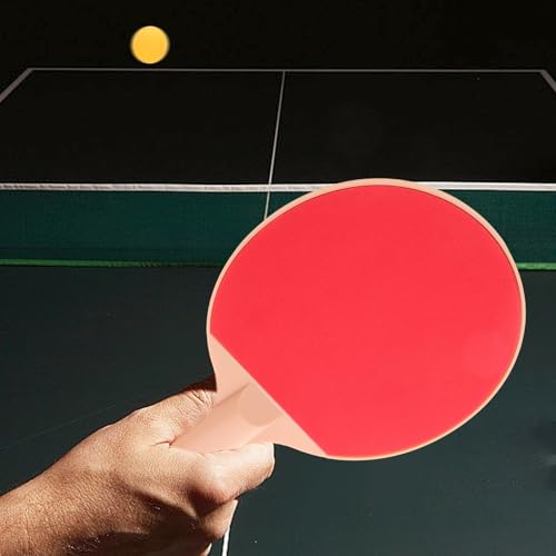 Outdoor Table Tennis Paddle Set Plastic Elastic Ping Pong Balls, Long Handle Bats 2pcs for Outdoor Recreational Play